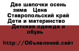 Две шапочки осень-зима › Цена ­ 250 - Ставропольский край Дети и материнство » Детская одежда и обувь   